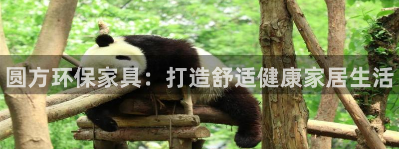 杏耀登入测速