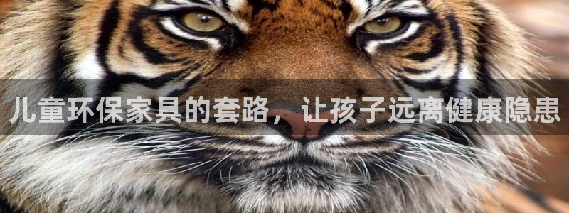 杏耀测速网址电脑版