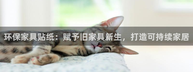 杏耀平台没有了