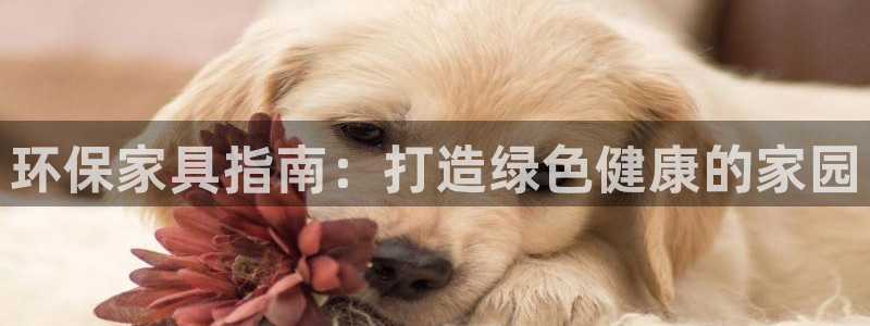 杏耀代理官网