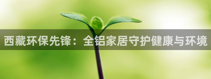 杏耀平台线路测速