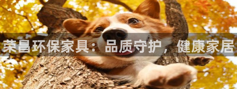 杏耀代理连接