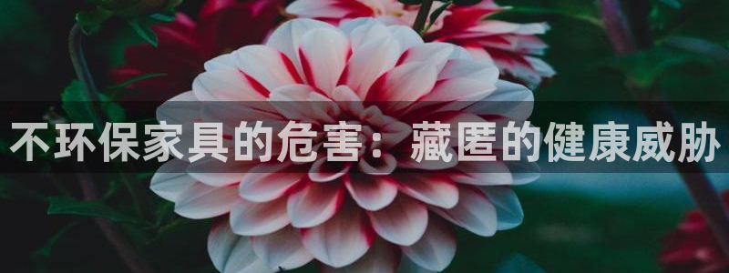 杏耀平台主管