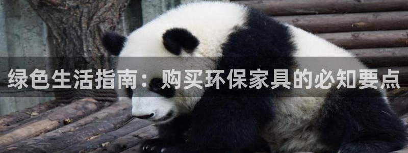杏耀平台怎么样