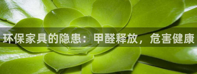 杏耀登陆线路