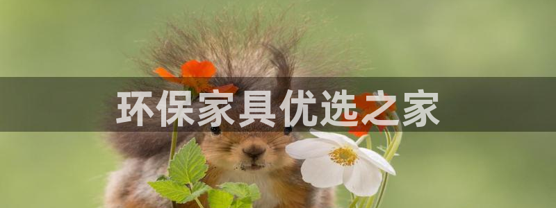 杏耀3代理