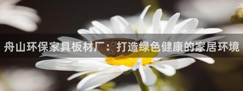 杏耀平台线路测速