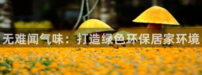 杏耀平台测速地址