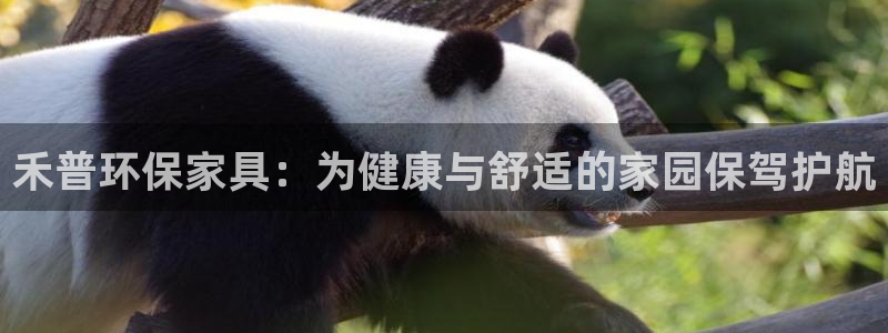 杏耀平台服务中心怎么样
