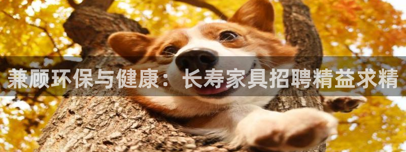 杏耀代理连接