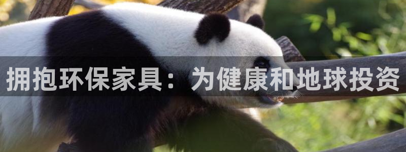 杏耀登录网页：拥抱环保家具：为健康和地球投资
