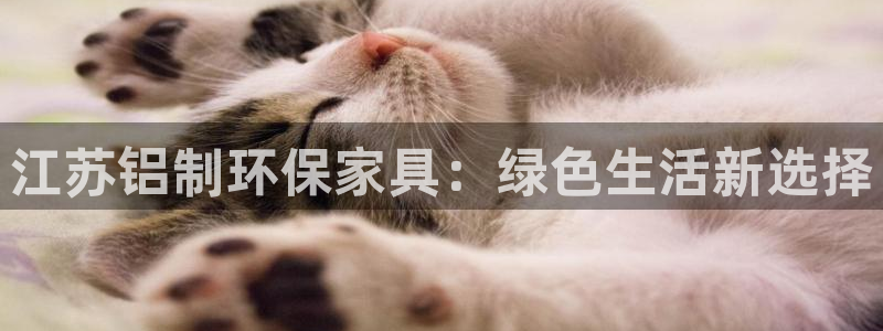 杏耀主管qq