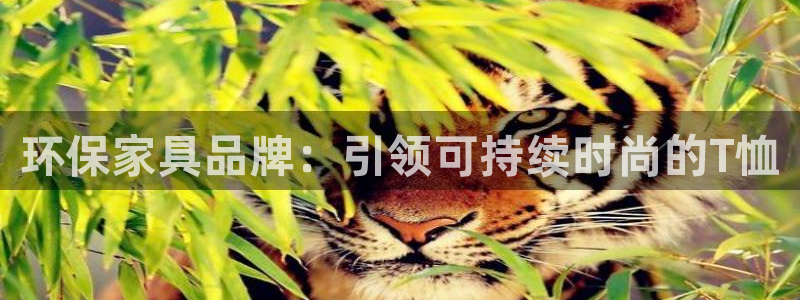 杏耀平台服务中心怎么样：环保家具品牌：引领可持续时尚的T恤