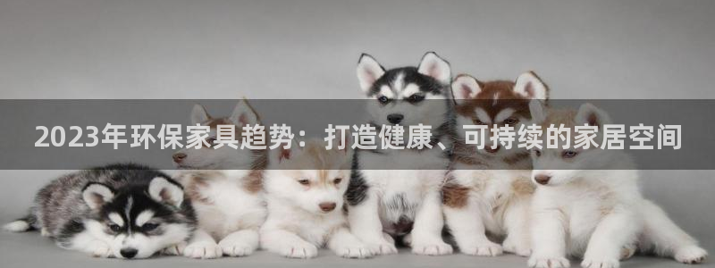 杏耀平台登陆官网
