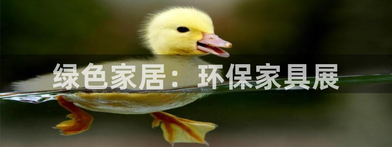 杏耀怎么注册：绿色家居：环保家具展