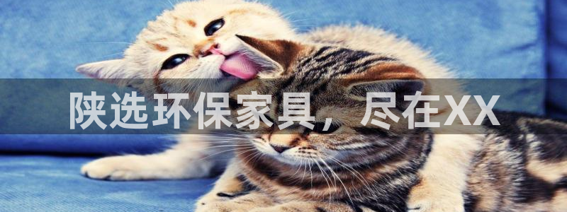 杏耀注册线路：陕选环保家具，尽在XX