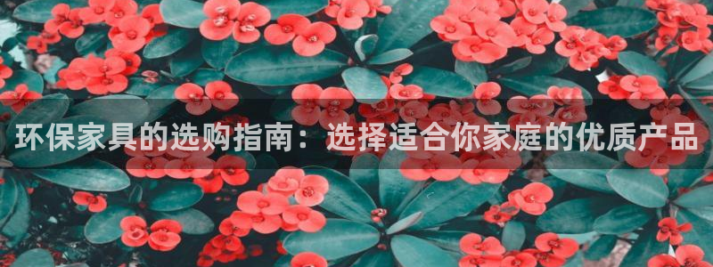 杏耀平台代理登录网址是多少：环保家具的选购指南：选择适合你家