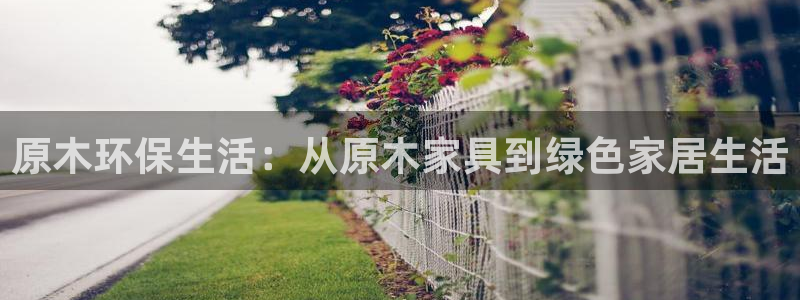 杏耀平台官方登录：原木环保生活：从原木家具到绿色家居生活