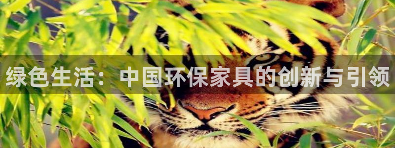 杏耀平台开户