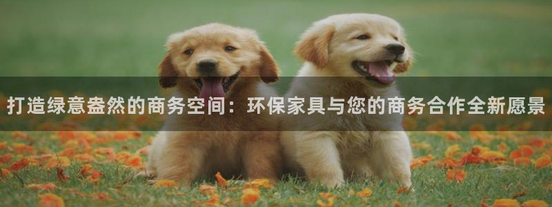 杏耀注册登录代理：打造绿意盎然的商务空间：环保家具与您的商务