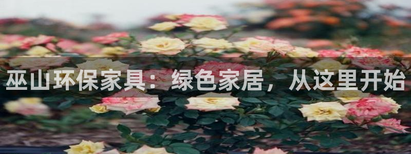 杏耀线路测速登录中心：巫山环保家具：绿色家居，从这里开始