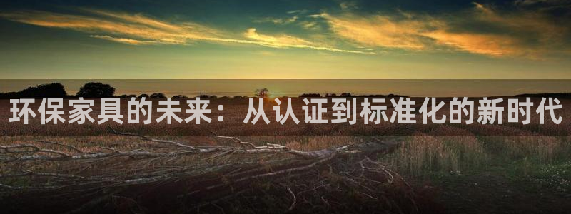 杏耀代理注册开户：环保家具的未来：从认证到标准化的新时代