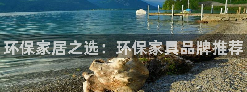 杏耀登陆测速：环保家居之选：环保家具品牌推荐