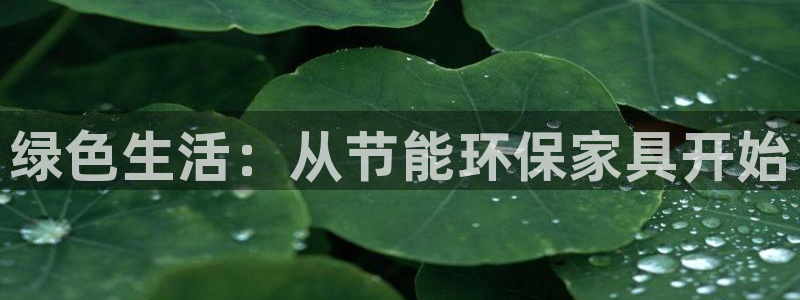 杏耀平台没有了：绿色生活：从节能环保家具开始