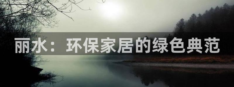 杏耀线路测速登录中心：丽水：环保家居的绿色典范