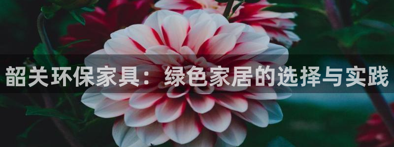 杏耀主管qq：韶关环保家具：绿色家居的选择与实践