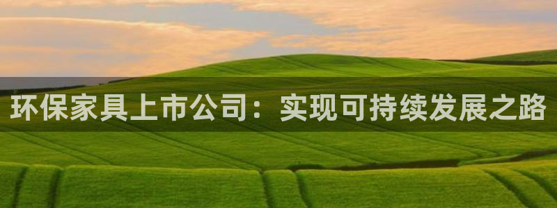 杏耀平台网页版：环保家具上市公司：实现可持续发展之路