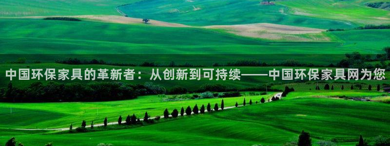 杏耀软件：中国环保家具的革新者：从创新到可持续——中国环保家