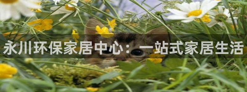 杏耀开户app下载