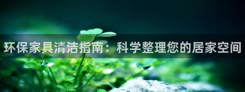 杏耀平台代理怎么赚钱快：环保家具清洁指南：科学整理您的居家空