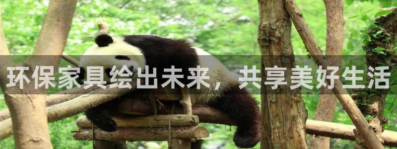 杏耀测速注册：环保家具绘出未来，共享美好生活